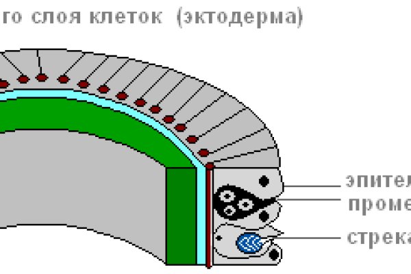 Kraken 12at зеркало