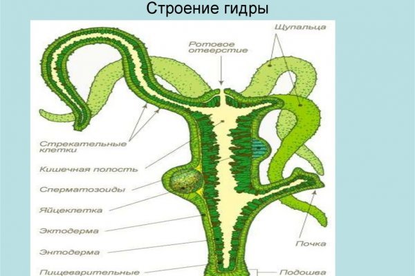 Как зайти на кракен с айфона