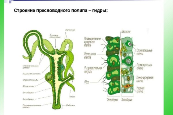 Кракен ссылка на рабочее зеркало