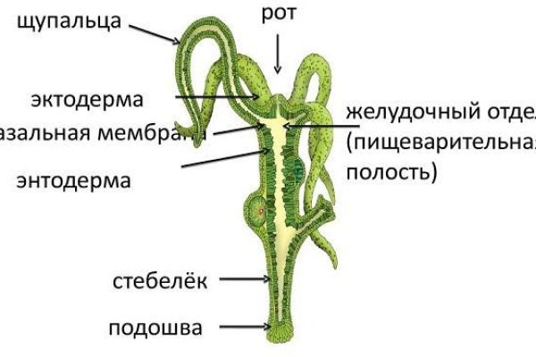 Кракен сайт наркотиков